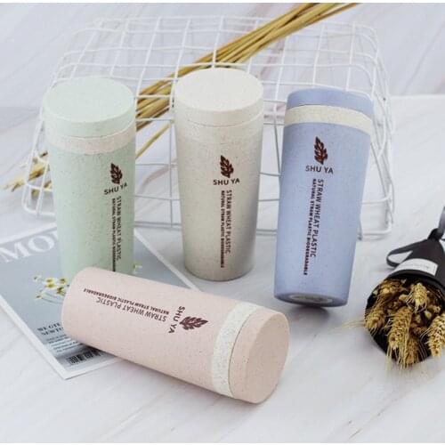 Kitchen Wheat Straw Water Bottles With Lid Double Wall Insulated Gift Travel Coffee Mug Tumbler Eco-friendly Winter Thermos Cup