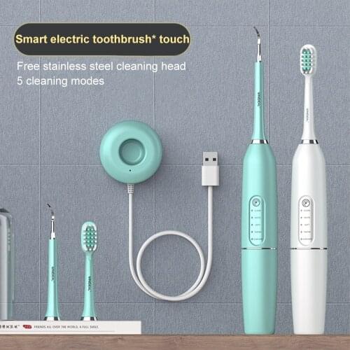 Sonic Electric Toothbrush USB Tooth Cleaner Ultrasonic Dental Scaler Calculus Tooth Brushes With Heads
