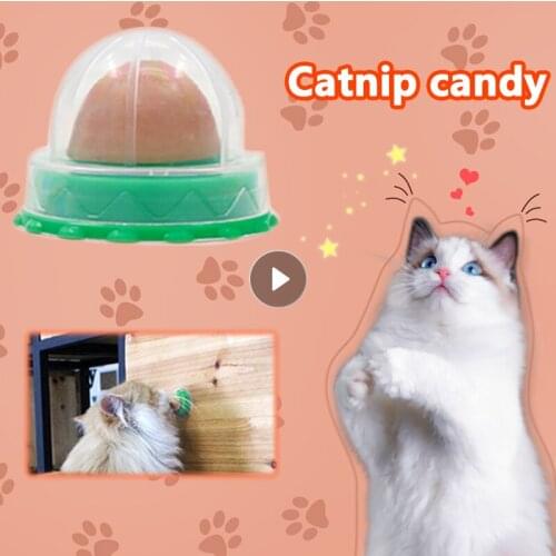 Cat Catnip Hot Sales Snacks Catnip Healthy Candy Licking Energy Ball Kittens Cat Toy Dropshpping Cat Keep Dropshipping Supplies