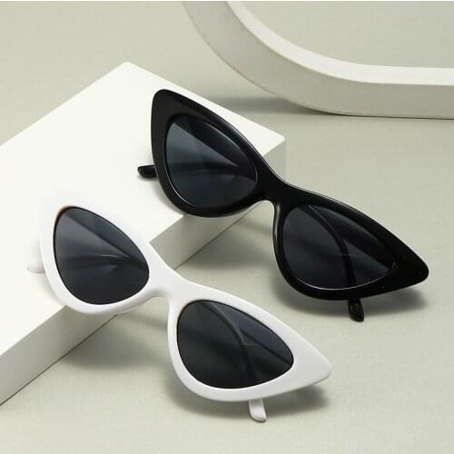 2021 NEW Riding Fishing Glasses Retro Vintage Sunglasses Vintage Goggles Sexy Small Cat Eye Outdoor Sun Glasses for Women