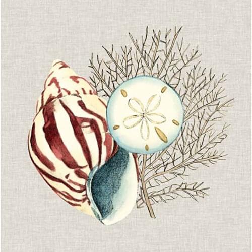 Modern Fashion Printed Beach Seascapes Paintings Wall Art Home Decor Shell coral Sea Paintings For Living Room,Frame Not include