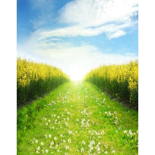 5x7ft Blue Sky Yellow Flowers Photography Backdrops Photo Props Studio Background