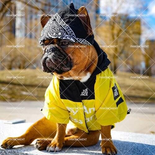 French Bulldog Raincoat Pet Dog Clothes for Small Medium Big Dogs Clothing Chihuahua Windbreaker for Yorkies Pug Hoodies PC1364