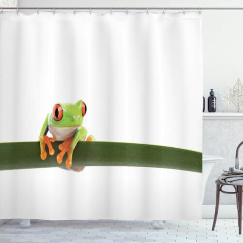Animal Shower Curtain Set Red Eyed Tree Frog Perches on Branch Curtain for Bathroom Decor 12 Hooks Decorative Bath Accessory