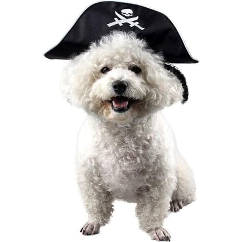 Pet cat Halloween Pirate Hat