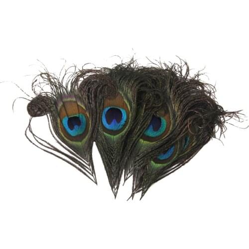10x Curly Large Eye Feather 10-12cm For Decor Millinery Fly Fishing