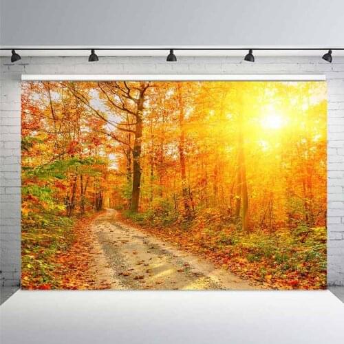 Mehofoto Photo Background Toy Maple Leaf Windmill Autumn Backdrops Children Photography Photocall Photo Booth Photo Background