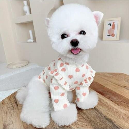 Cotton Dog Clothes Soft Vest Winter Autumn Cute Pet Base Shirt Small Dogs Warm Puppy Clothing For Chihuahua Teddy Dog Sweater