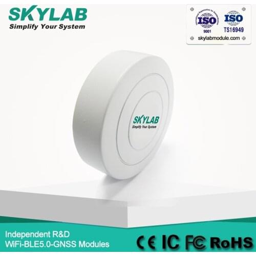 SKYLAB UUID major minor programmable ibeacon beacon CR2477 ble firmware nrf51822 bluetooth beacon