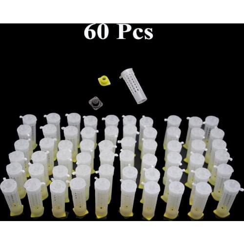 60PCS Professional Beekeeping Queen Cage Rearing Quality Protective Cover Catcher Plastic Bees Box Bees Tool Supplies Wholesale
