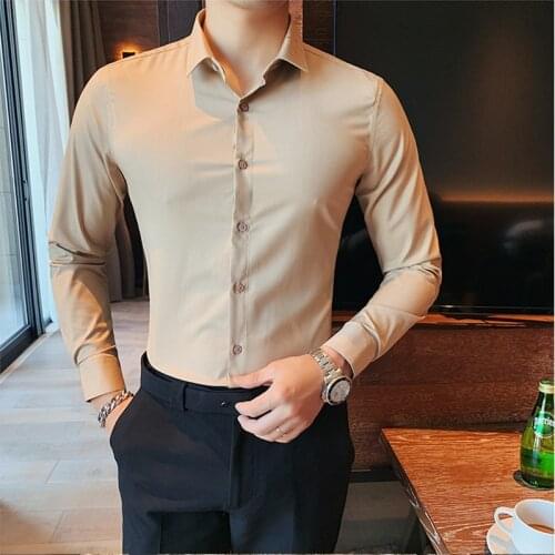2021 premium brand Mens summer Leisure pure cotton Dress shirt/Male slim fit lapel Fashion Casual long-sleeved business shirts