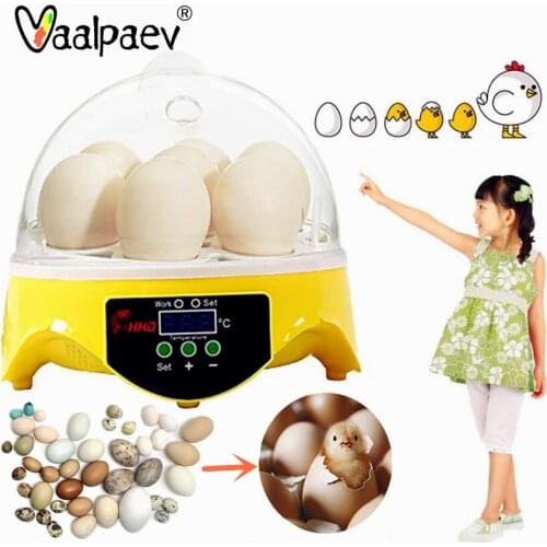 Family Science Game Magic Eggs Hatching Experiment Chicken Duck Bird Incubator Box Childrens Educational Toys Teaching Aids Kid