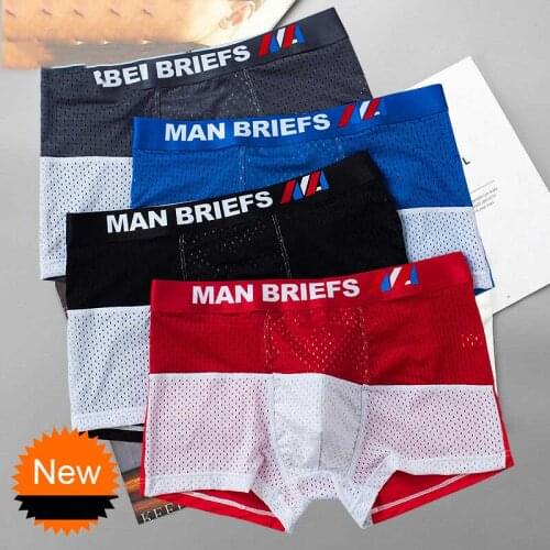 4pcs/lot Mesh Boxer Shorts Men Underwear Boxers Homme Sexy Transparent Mens Underpants Bamboo Fiber Panties Ice Silk Size L-3XL