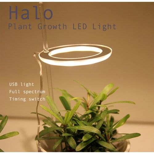 LISM Plant Lamps