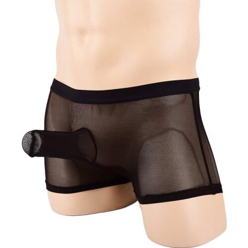 Sexy Men Gay Erotic Briefs Transparent Mesh Penies Sheath shorts Mens Panties Boxer Brief Sissy Underwear
