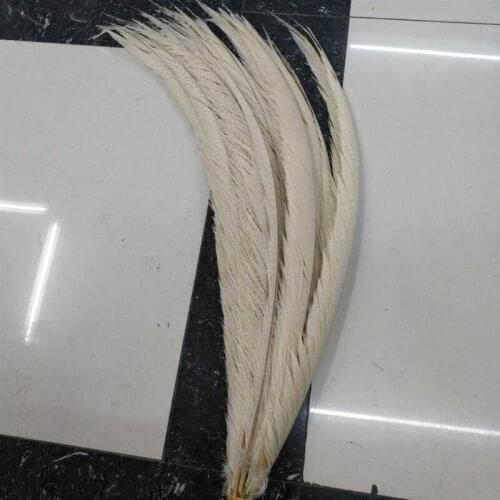 50 PCS / lot white Golden pheasant covered tail feathers Long 26-28 inch / 65-70cm Stage Accessories Apparel DIY Decorations