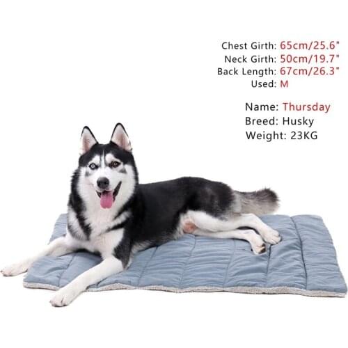 Foldable Pet Dog Bed Mat Pet Cushion Winter Warm Puppy Cat Plush Beds For Small Large Dogs Cats Pad Chihuahua Cama Perro