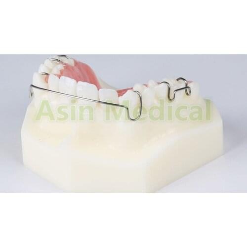 New Arrival 1 Pcs Dental Orthodontic Appliance Model With Teeth Trainer Retainer Braces Teaching and Science