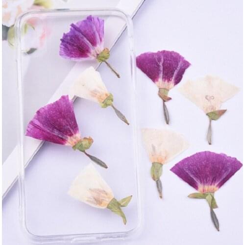 60pcs Pressed Dried Godetia amoena Flower Plants Herbarium For Epoxy Resin Jewelry Making Face Makeup Nail Art Craft