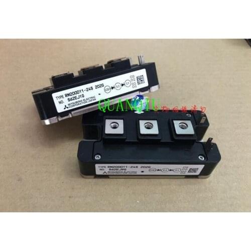 RM200DY1-24S RM200DY1 24S 202G