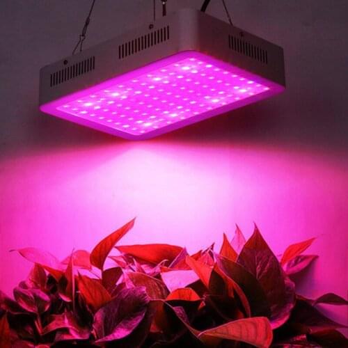 ZUCZUG Professional Lighting