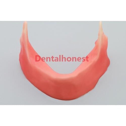Mandibular jaw model with silcone for incision inplant sture M2027