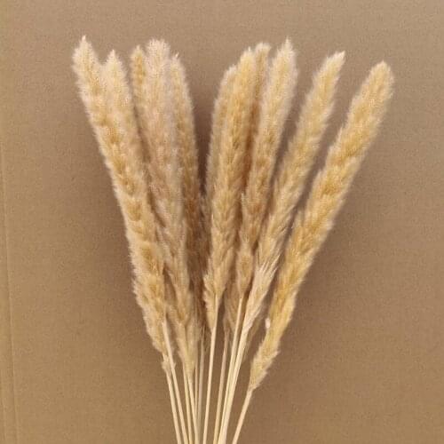 15pcs 45cm Natural Pampas Reed Grass Bouquet Dried Flower Bunch Festive & Party Supplies Wedding Home Decoration