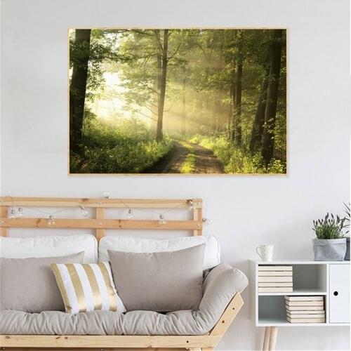 Green Nature Forest Sunlight Art Canvas Poster Painting Oil Wall Picture Print Modern Sofa Living Room Home Bedroom Decoration