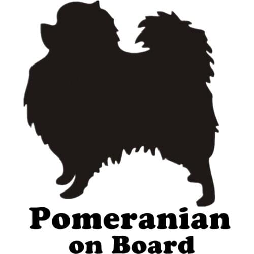 Funny Creativity Pomeranian Dog on Board Car Sticker Vinyl Decals Waterproof Motorcycle Sticker PVC 15cm X 12cm
