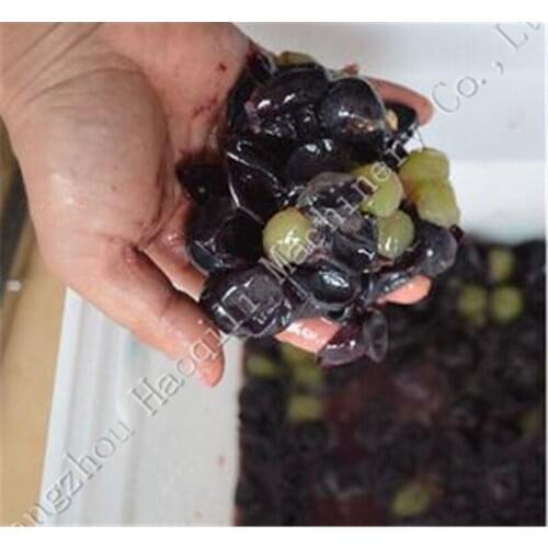 The Most Popular grape crusher juice making machine grape press machine