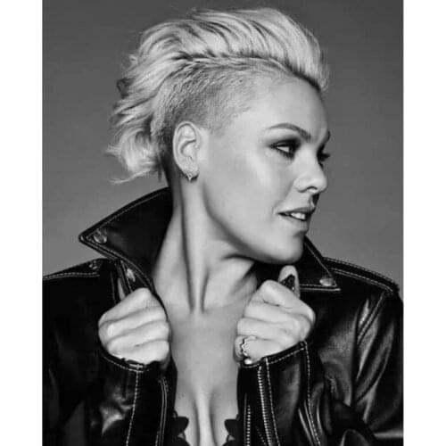 5d diy kerstkaarten diamond painting singer pink the truth full square/rond diamond Embroidery christmas gift