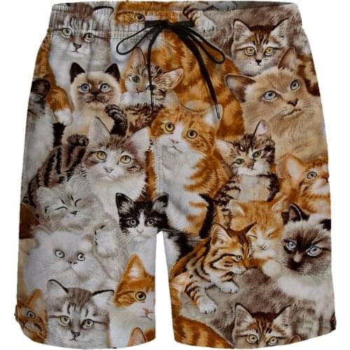 Casual Shorts Cat Animal Style Short Pants Breathable Quick Dry Beach Pants Running Sports Shorts Men Board Shorts