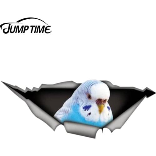 Jump Time 13cm x 4.8cm Budgie bird Sticker Torn Metal Decal Wild Animal Funny Car Stickers Window Bumper 3D Car Styling