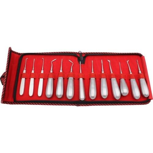 13Pcs Dental Teeth Curved Root Hexagon Handle Luxating Lift Elevator Dentist Surgical Instrument Tool