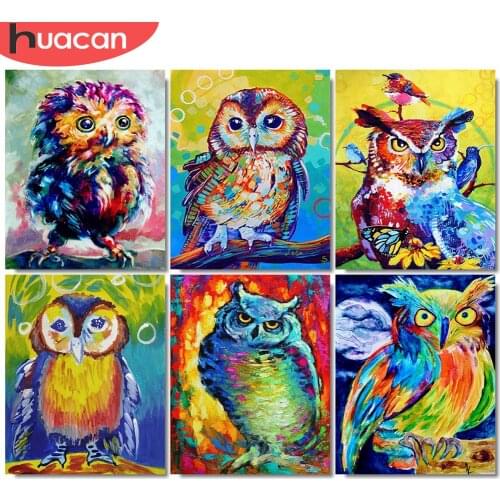 Huacan Paint By Number 50 50