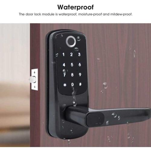 Biometric Fingerprint Door Lock Bluetooth APP Password with Mechanical Key for Alexa Voice Control Password Keypad