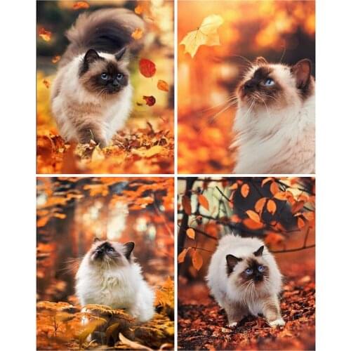 Evershine 5D DIY Full Square Diamond Painting Cat Cross Stitch Diamond Embroidery Animal Rhinestones Pictures Crafts Kit