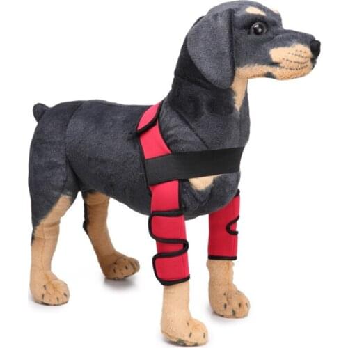 Pet Dog Pop It Supplies Dogs Knee Leg Protection Operation Injury Protective Dogs Accessories Best Selling Products Accessories