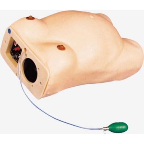 Advanced Electronic Pregnant Women Examination Manikin BIX-FW2 WBW229