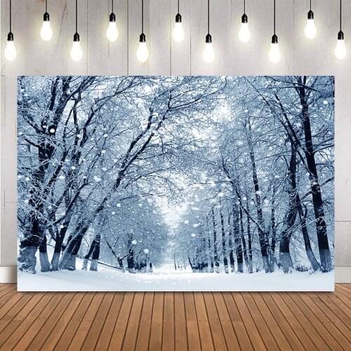Photography Backdrop Snow Winter Kids Portrait Background for Photo Studio Snowflake Professional Photographic Studio For Props