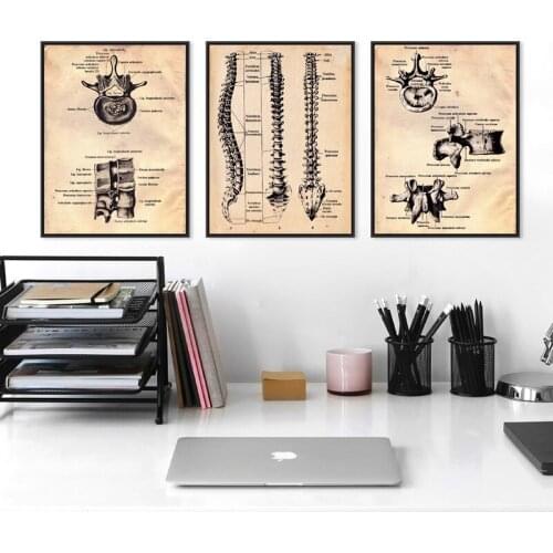 Human Spine Vintage Posters and Prints Manual Therapy Guide Anatomy Illustration Art Canvas Painting Medical Doctor Office Decor