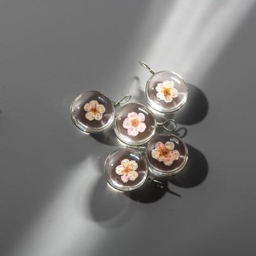 18# Alloy Hook Flat Glass Ball Dried Colored Flower Inside With Hook #GY404