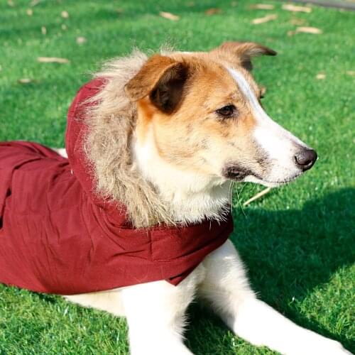 SENYEPETS Autumn and Winter Pet Fashion Hooded Cotton Coat Warm and Soft Suitable for Small and Medium Dogs to keep Warm