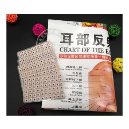 600 pcs Auricular Vaccaria ear press seed Acupuncture needle Seeds massage paste stickers & 1 pcs meridians acupoints chart