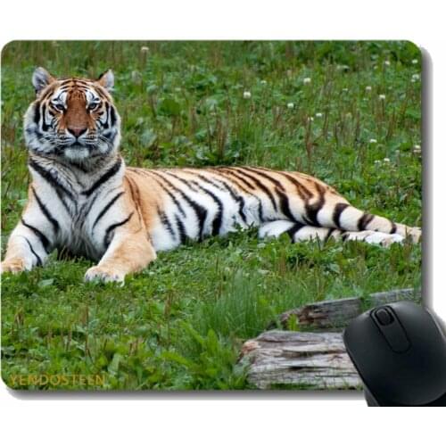 Gaming Mouse Pad Custom,Tiger Predator Big Cat 169474 Mouse Pads With Stitched Edges