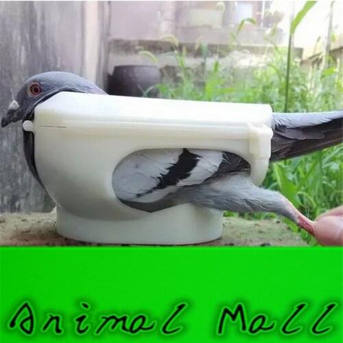 New Pigeon holder Columba Bird Clothes Given medicines device Bird Tools White Pigeon Wholesale and retail