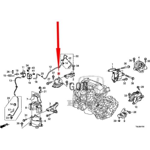 GQN Gas Stops For The Hood And Trunk