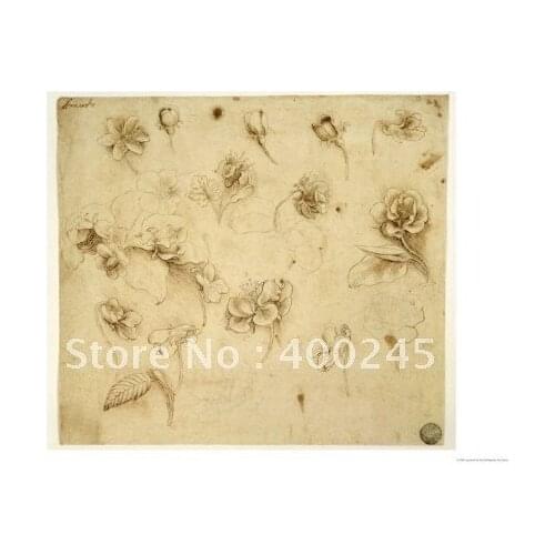White and black flower oil painting on canvas High quality Flowers artwork by Leonardo da vinci 100% handmade free shipping