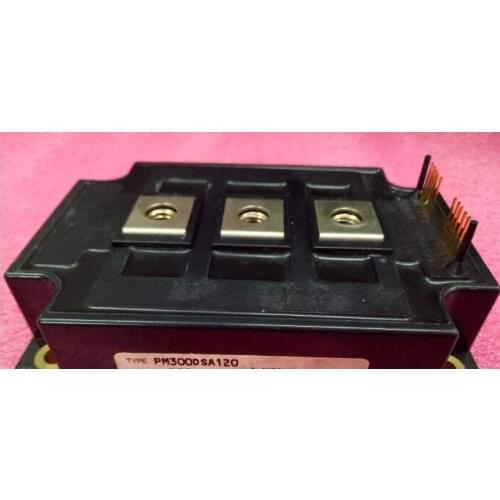 PM300DSA120