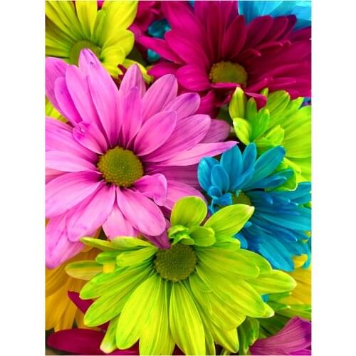 5D Diamond Painting Flower Mosaic Cross Stitch Landscape Home Decoration WG2117